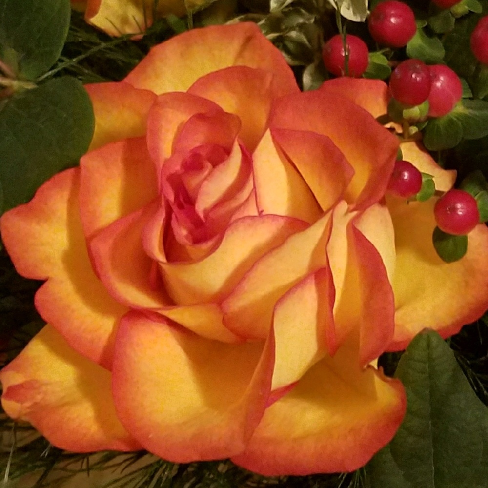 Meet your Posher, Mary